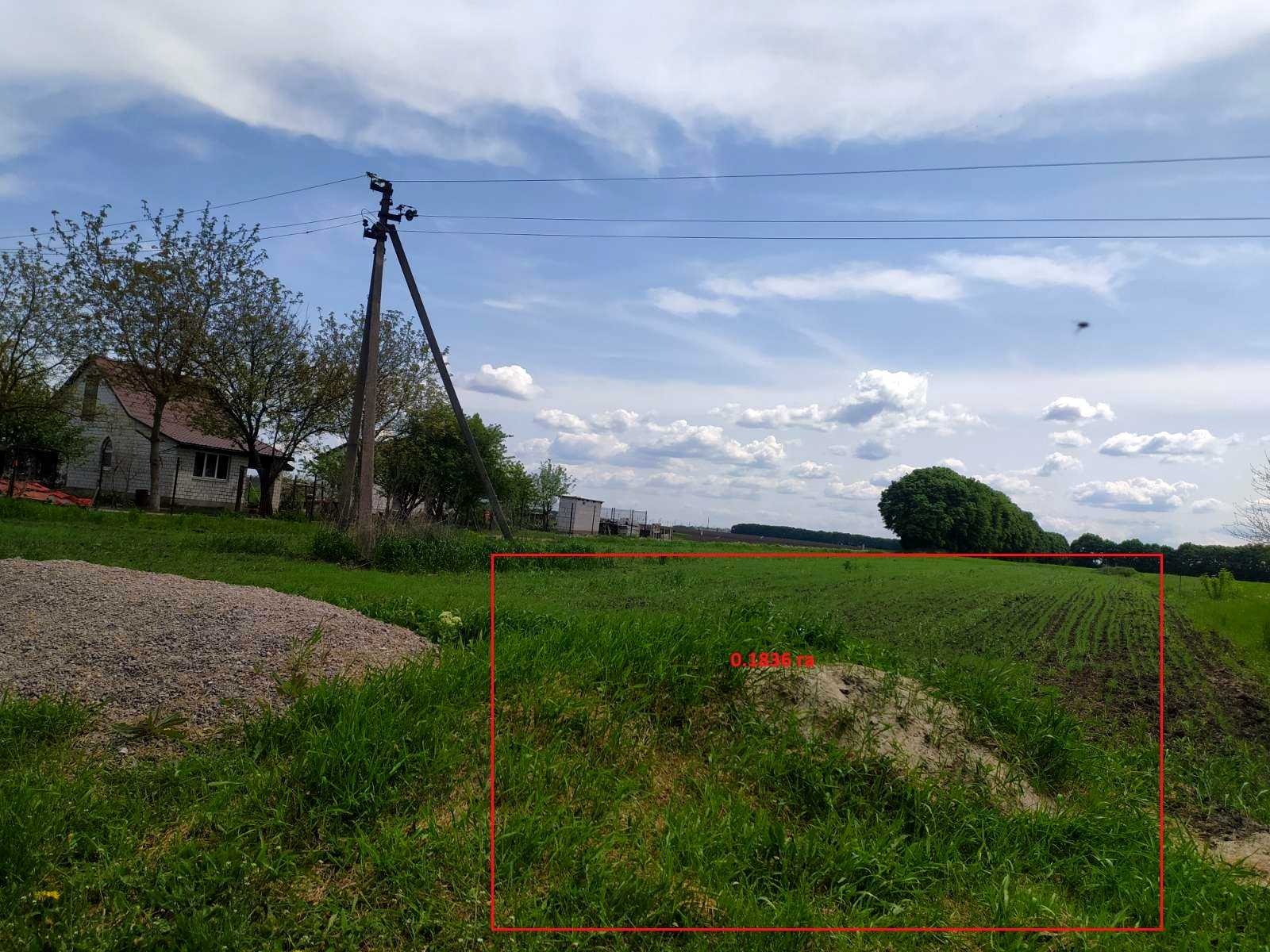 1766411587977432