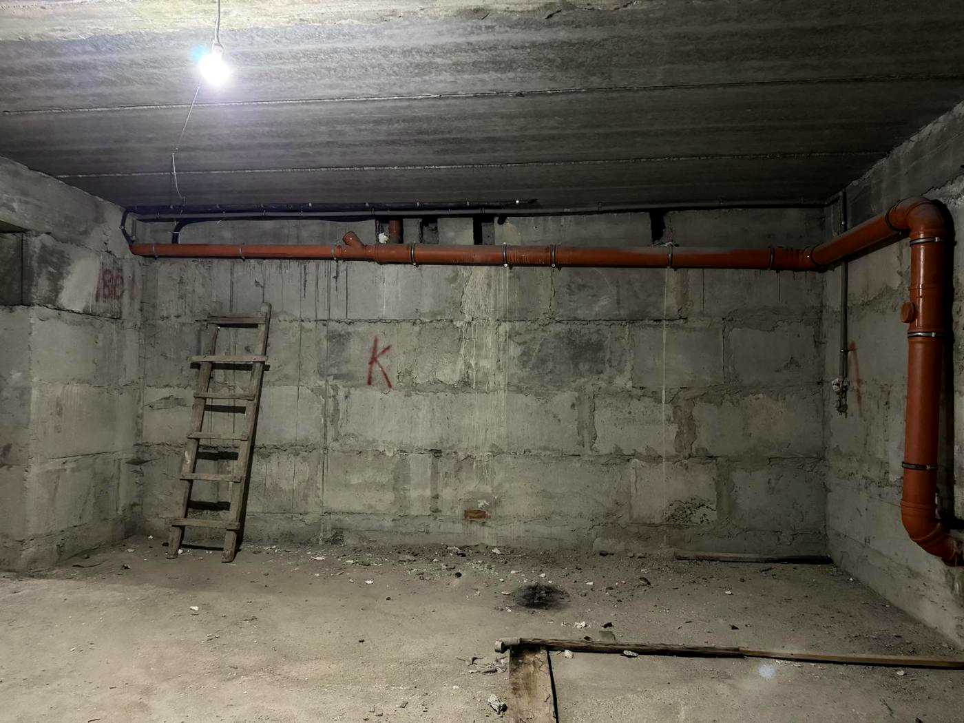 1846238869453216.jpg