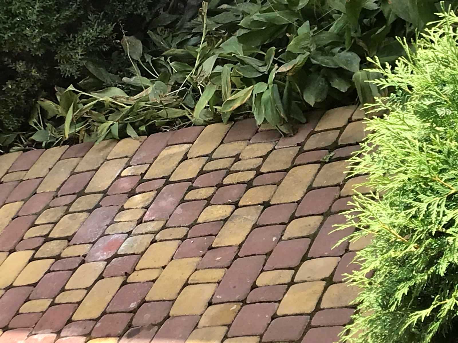 1795492921804749