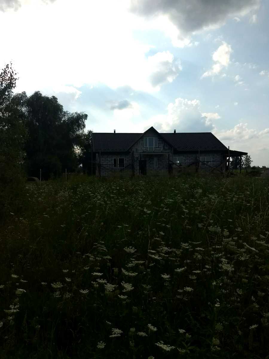 1775461487917545