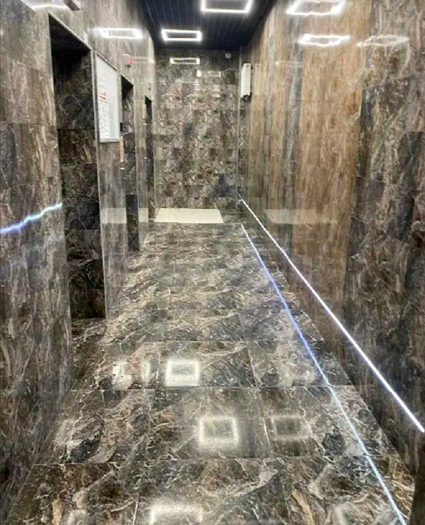 1851659626319521