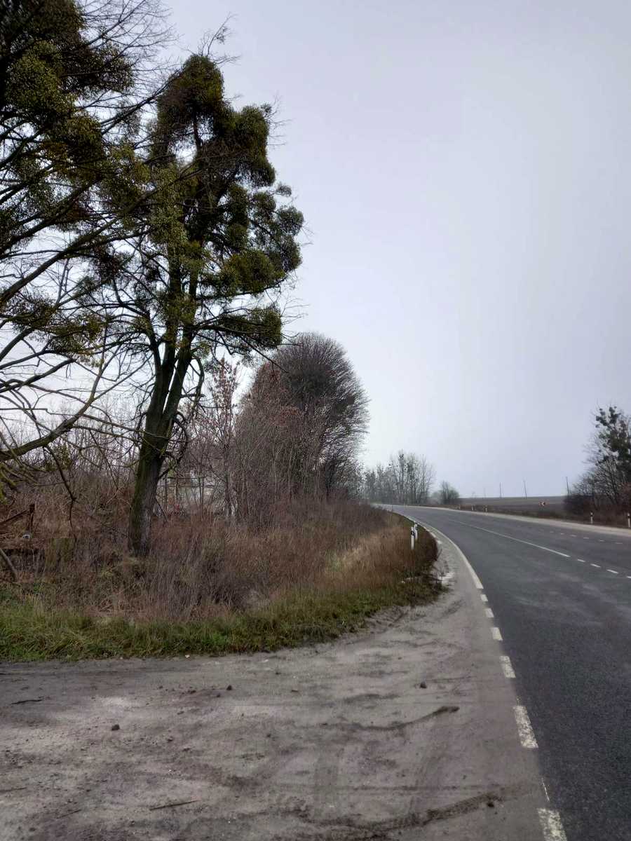 1755361760704782