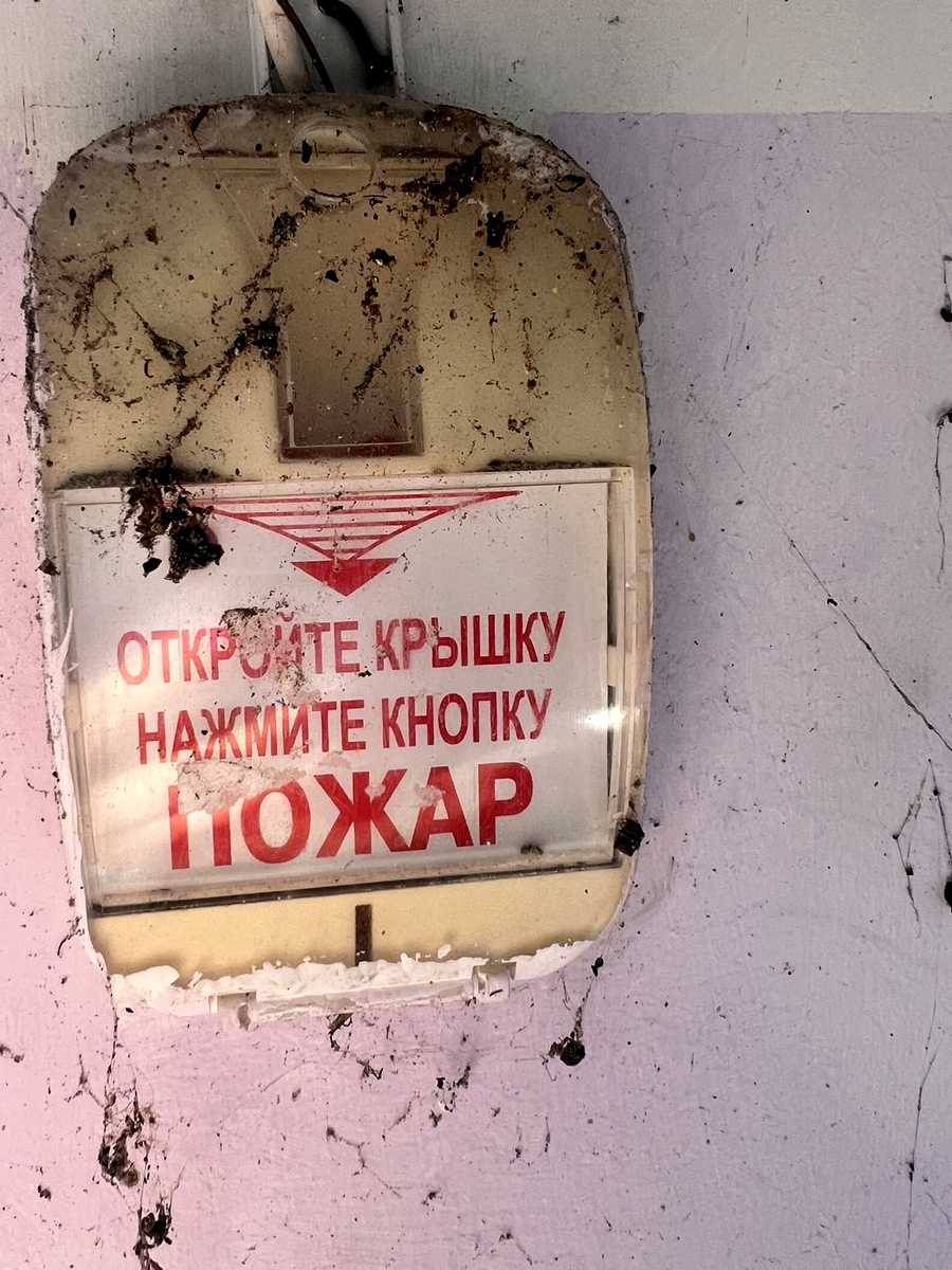 1844617579152264