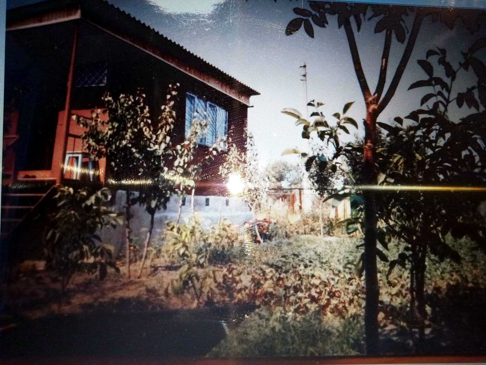 1763769303142868