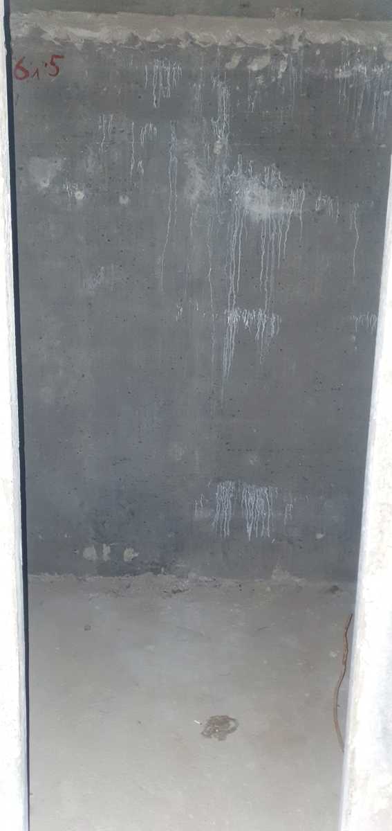1835439662562931