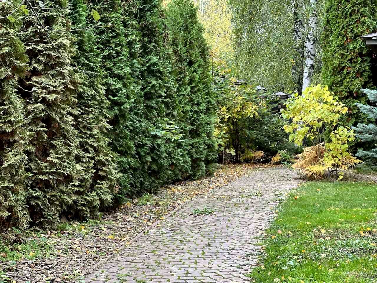 1851315425528439