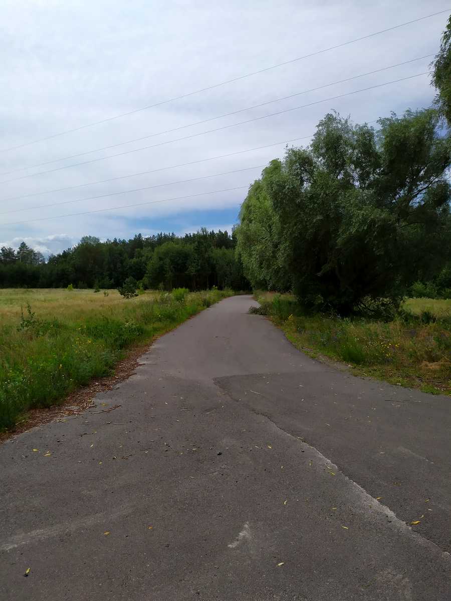 1845790752672117