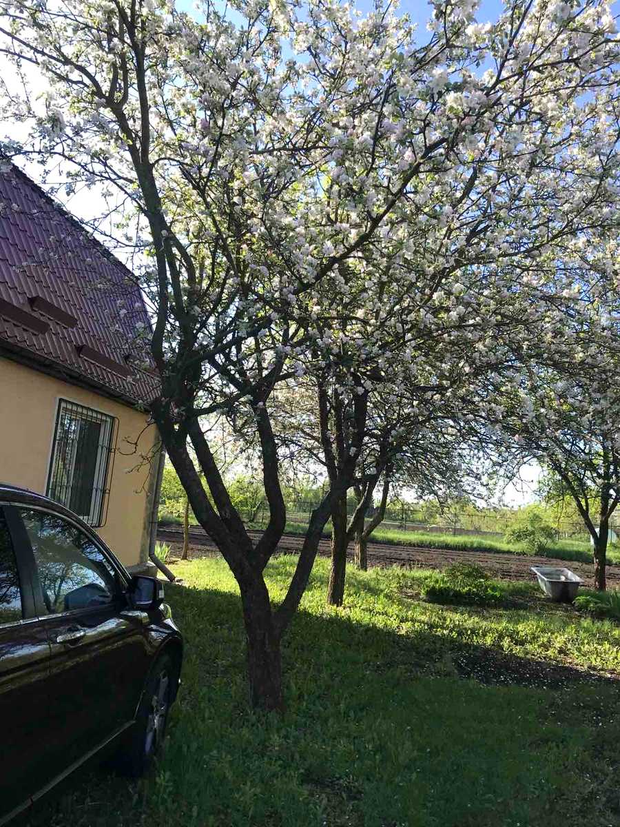 1797744086746837