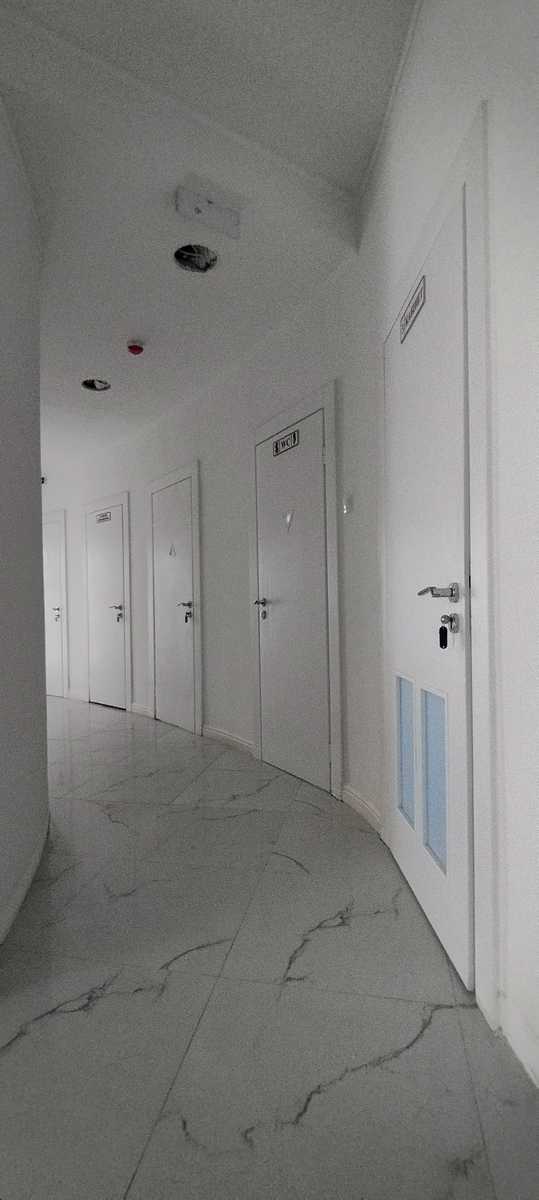 1848578291993335