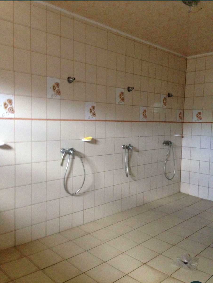 1825061181213403