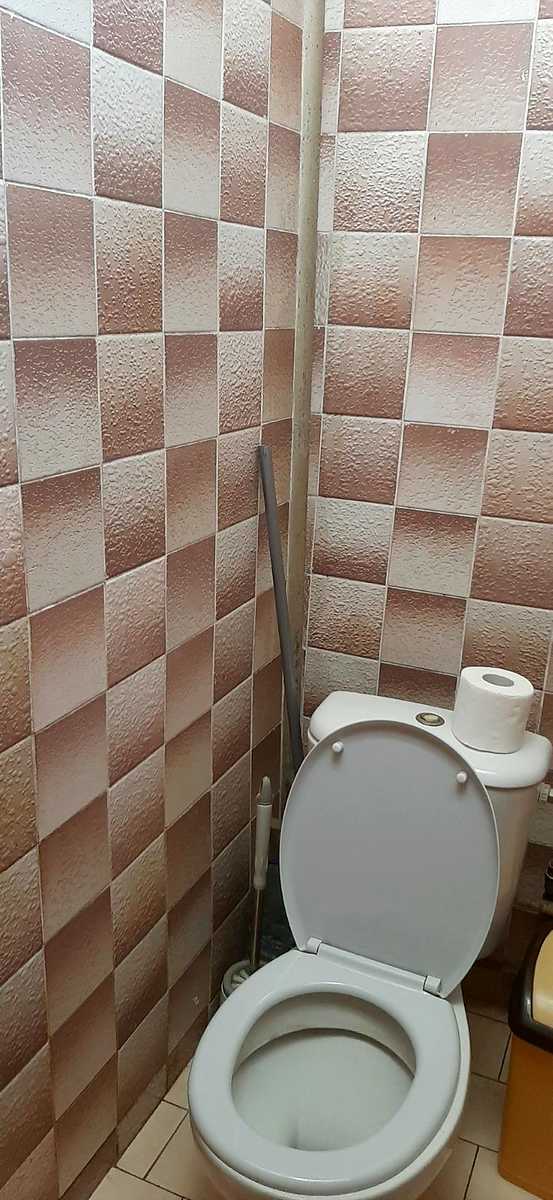 1775755700956524