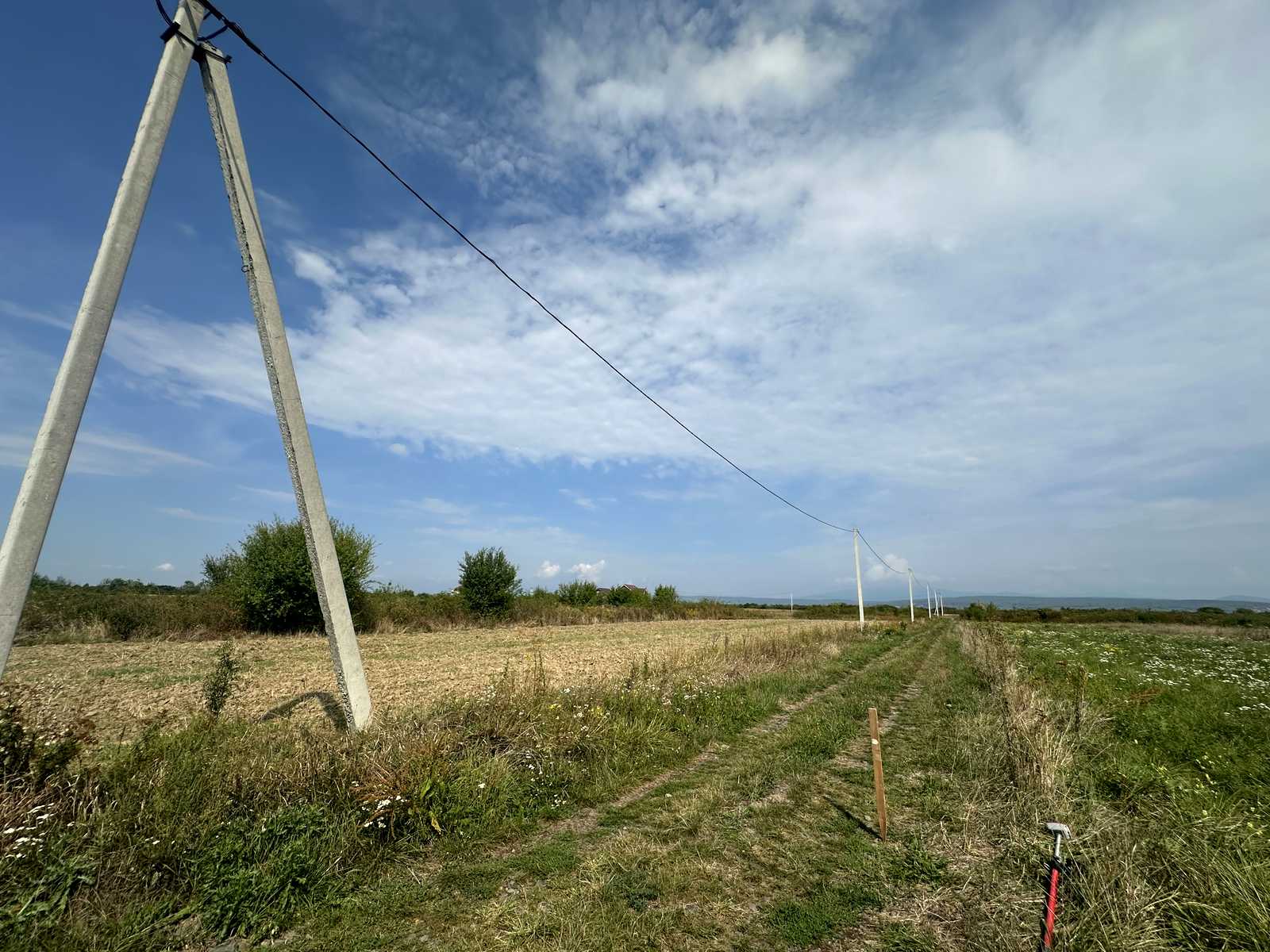 1847938243029072