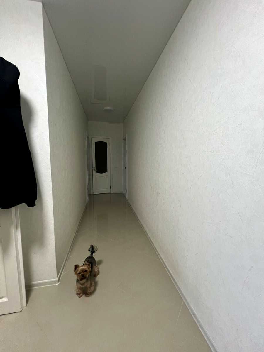 1802502060814267