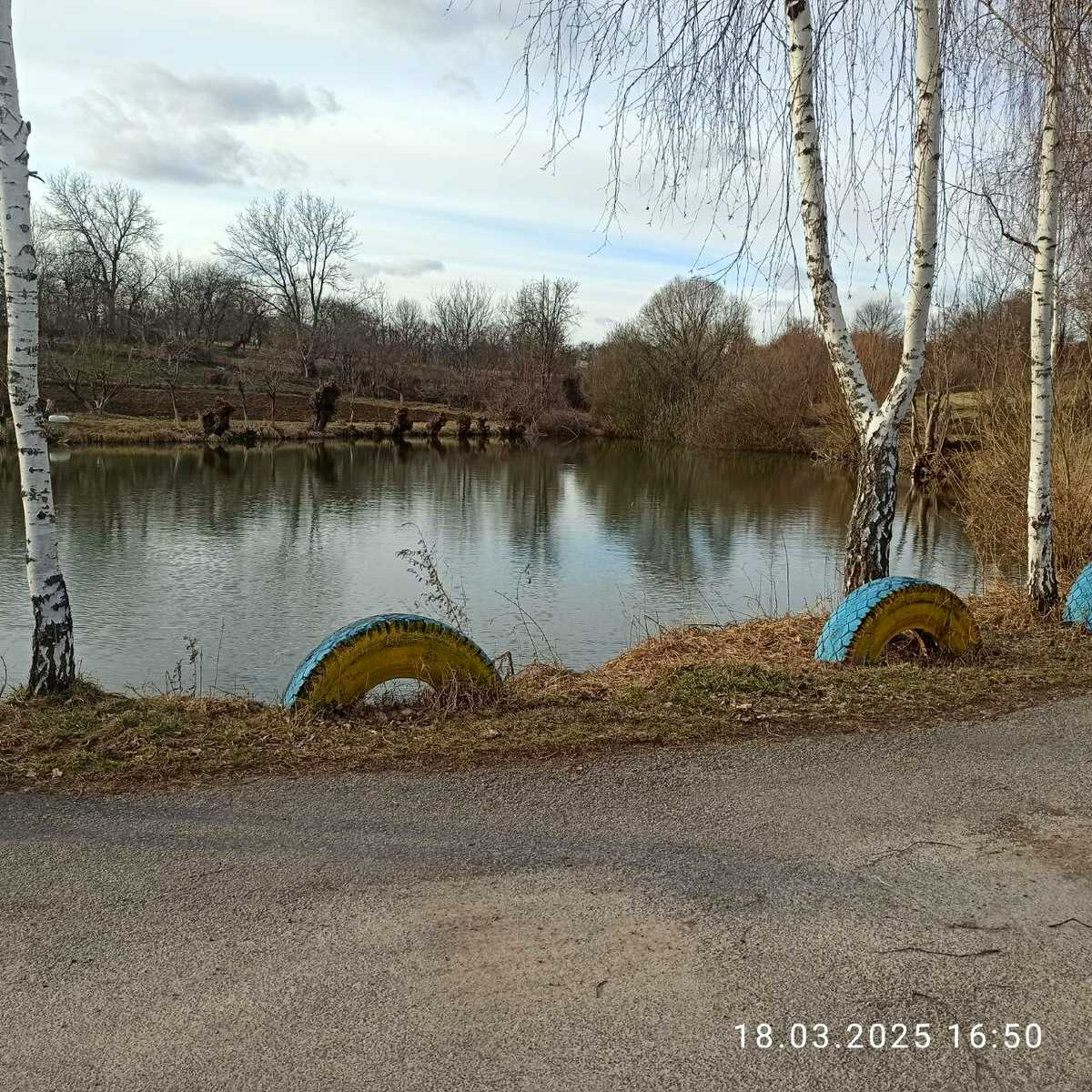 1827559582177746