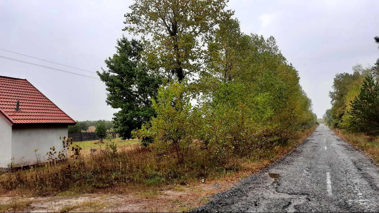1795218263686597