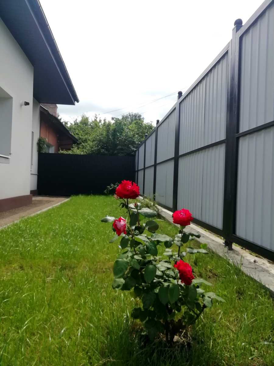 1736706917892299