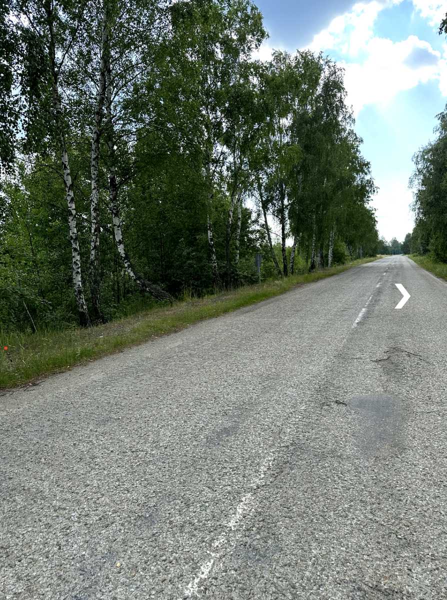 1780749029936817