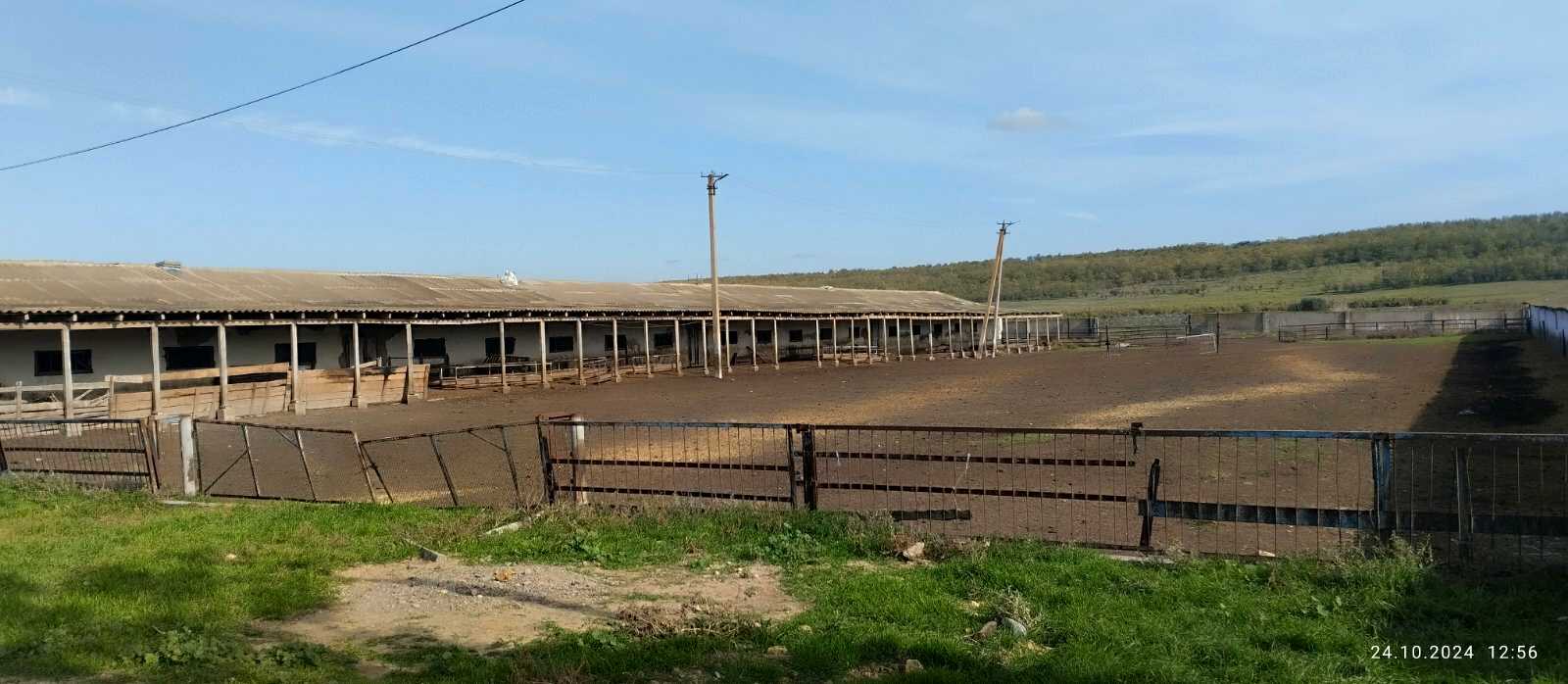 1835371431076207