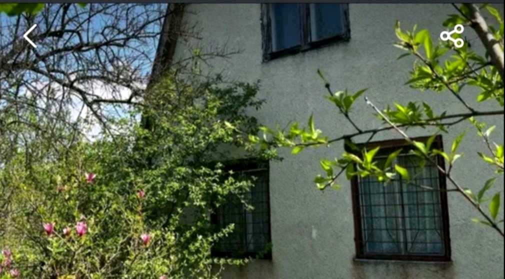 1838432674246336