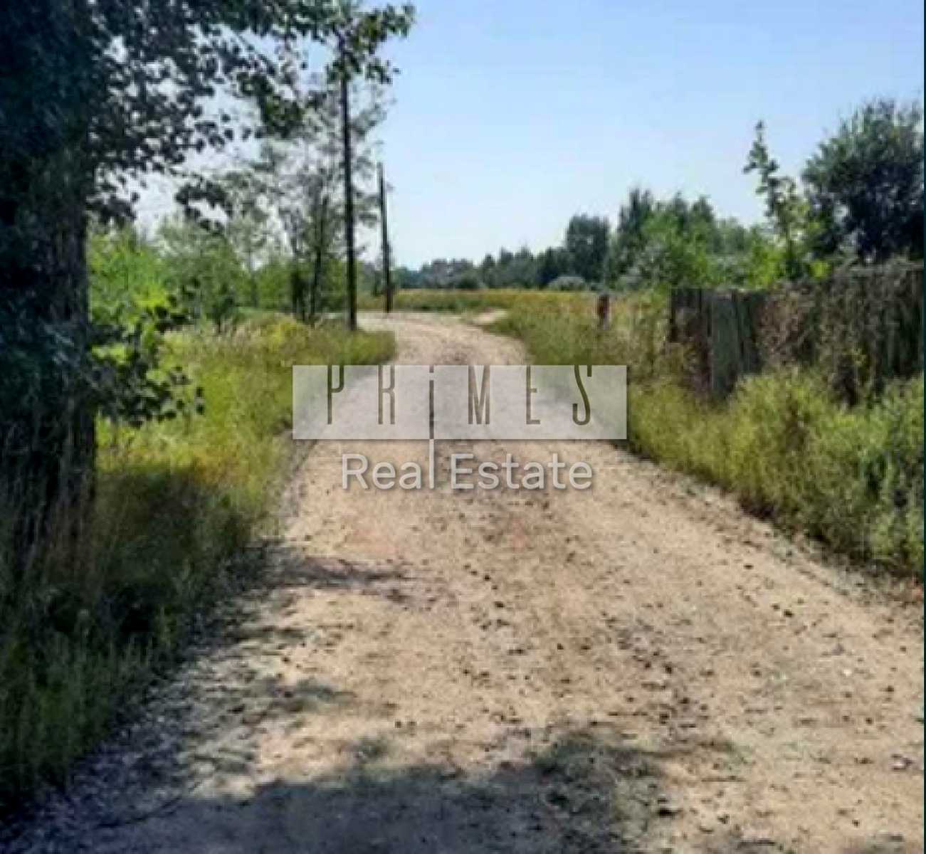 1795032174366035