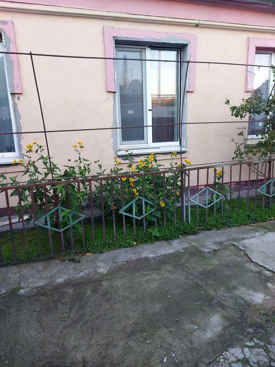 1848767965351815