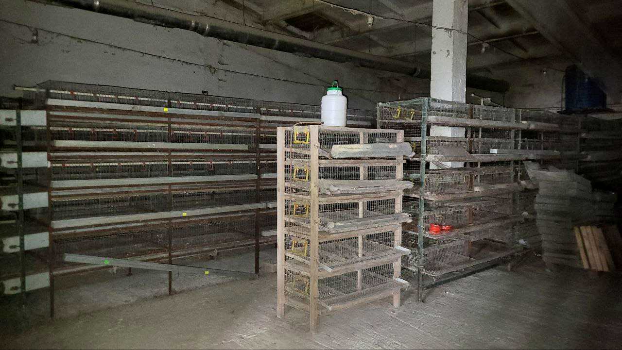 1825034103032418