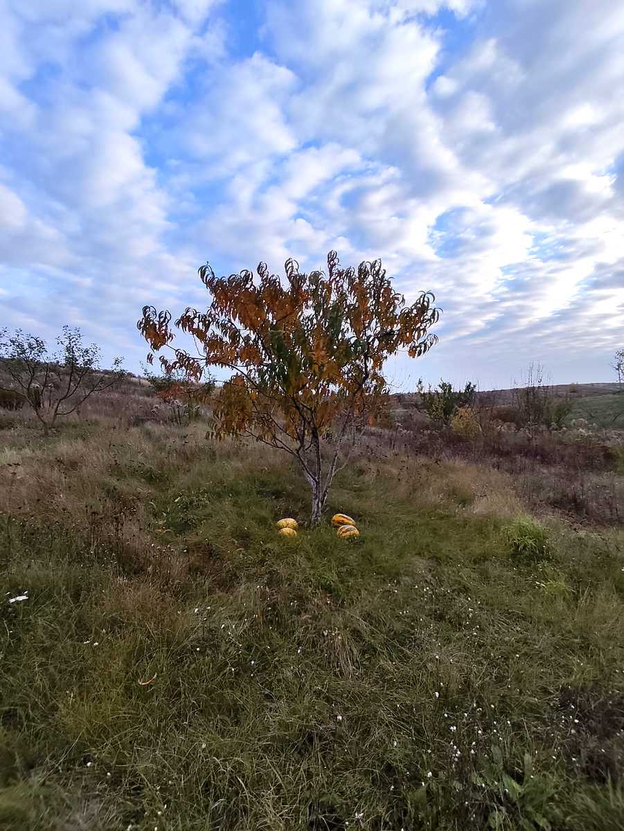 1846308835801990