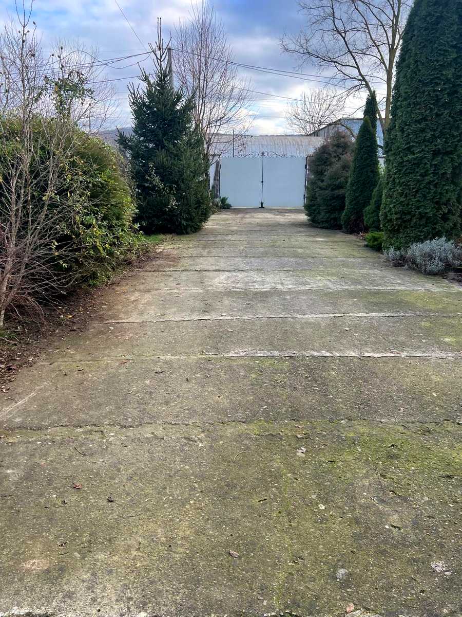 1850578144532787.jpg