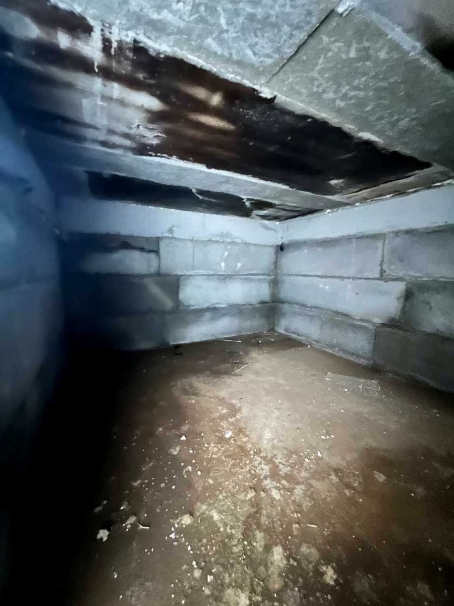 1834009074373529