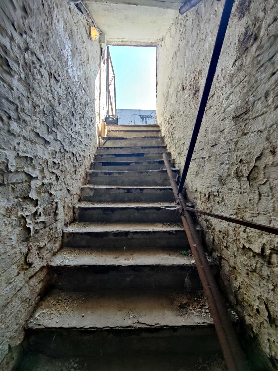 1847394784114165