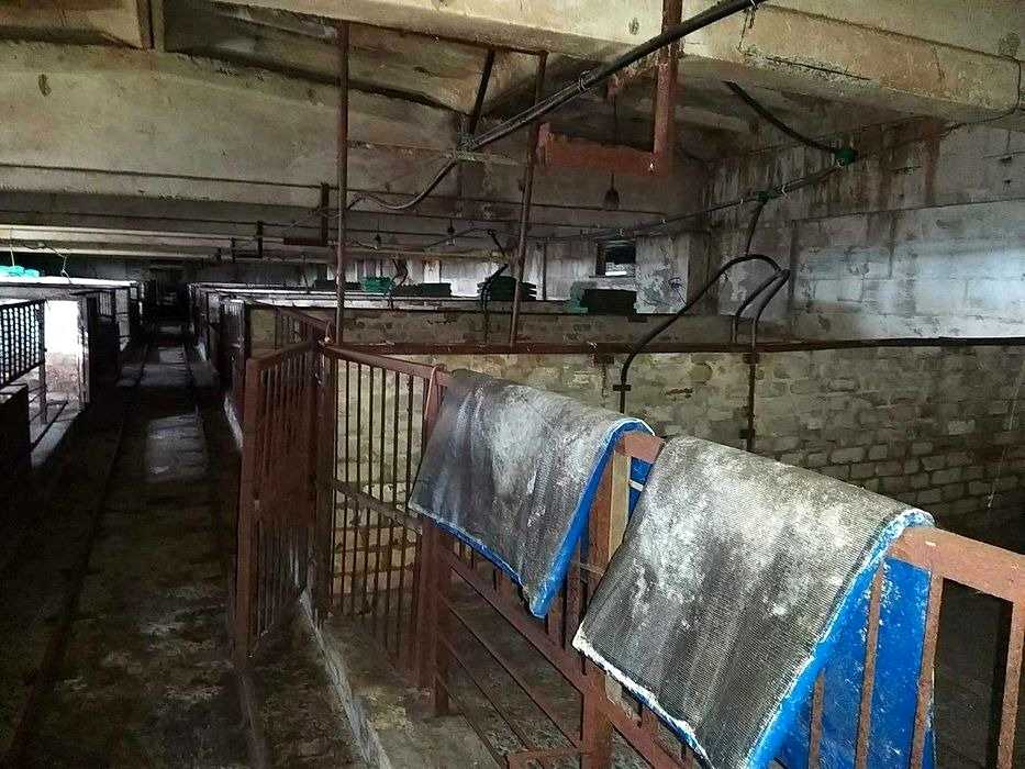 1819879397360698