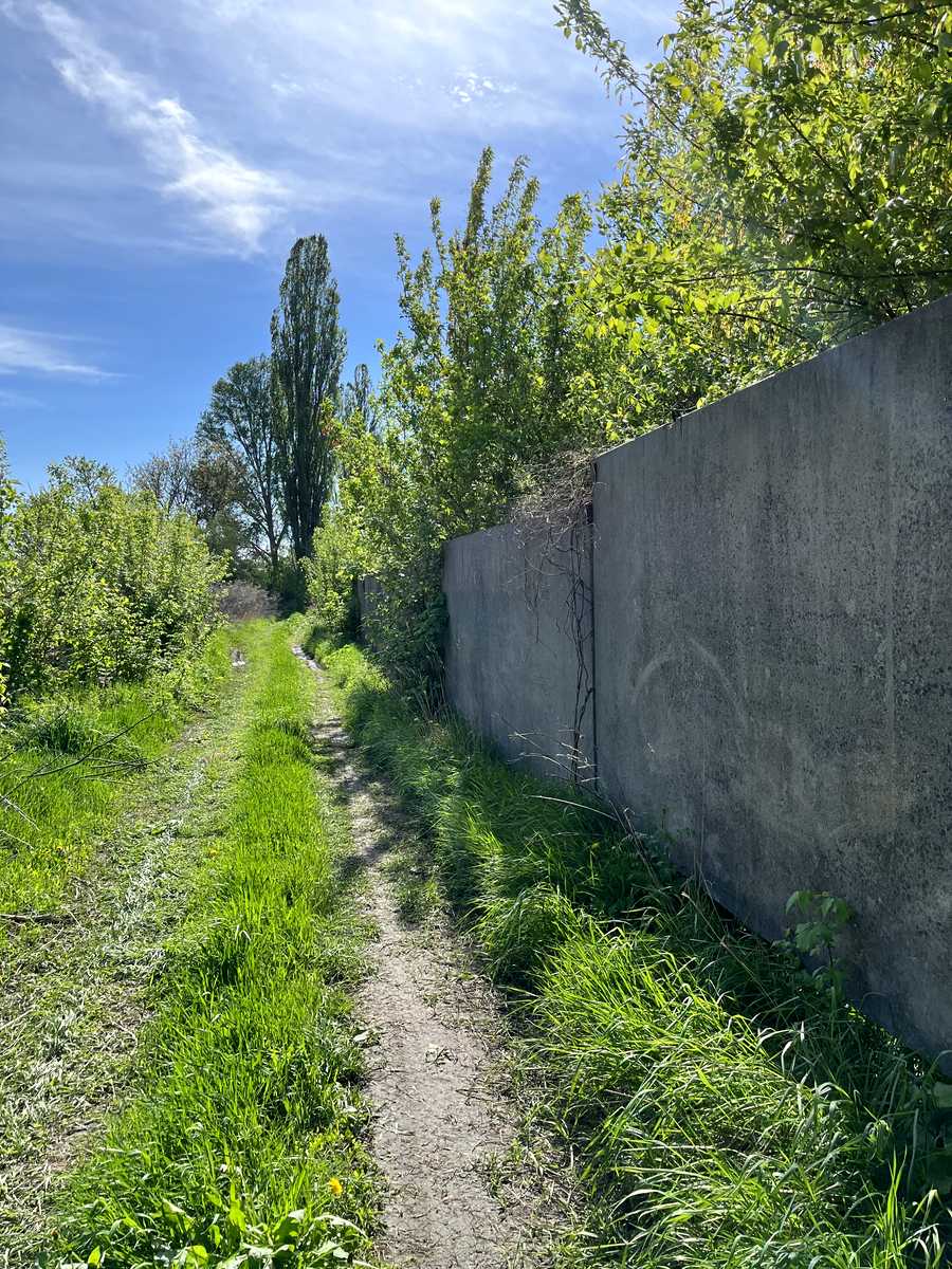 1797206126017515