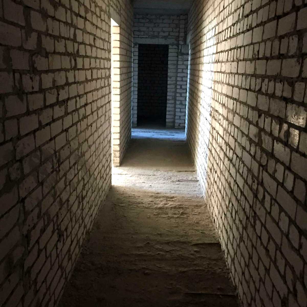 1766543078797882