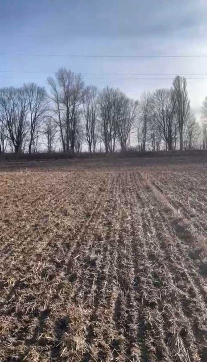 1838511872016321
