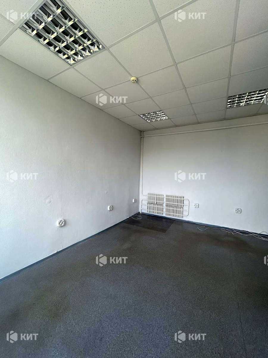 1826478179662499