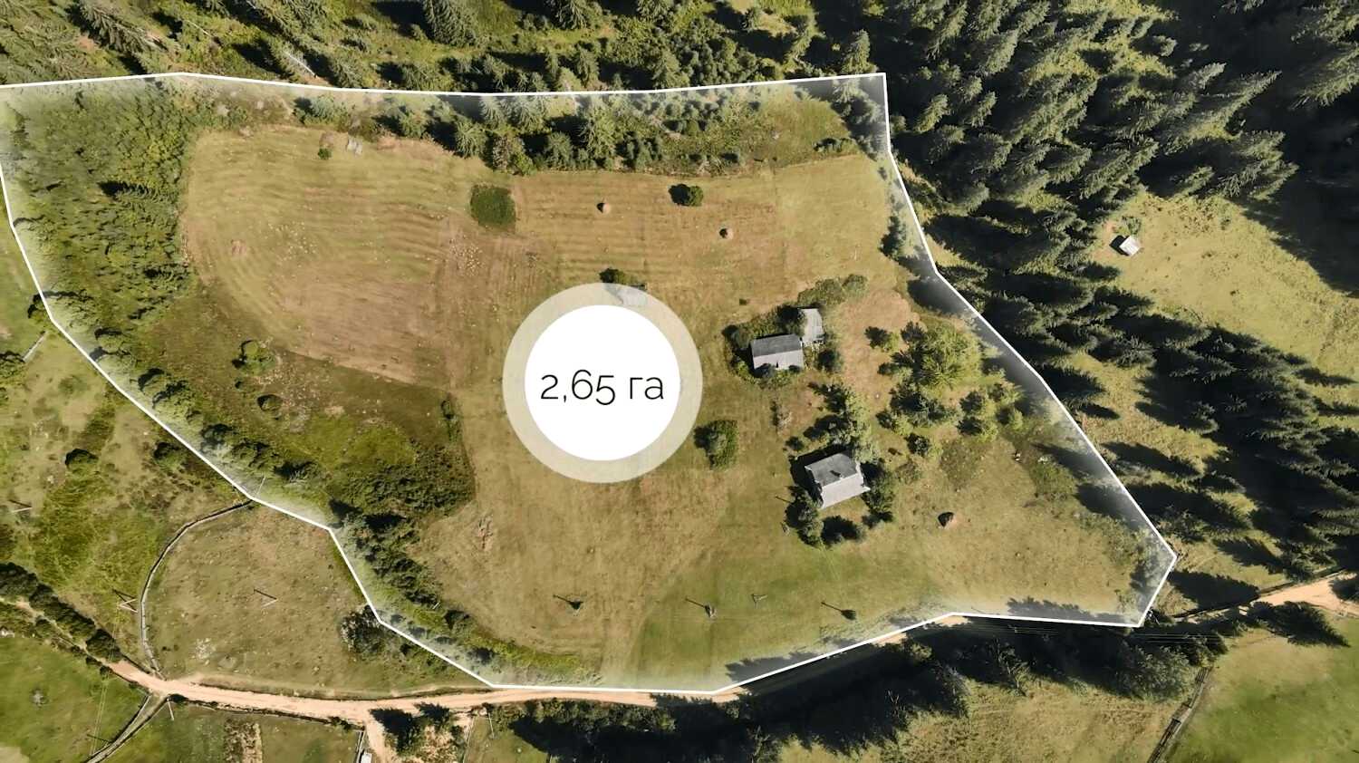 1785071737969249