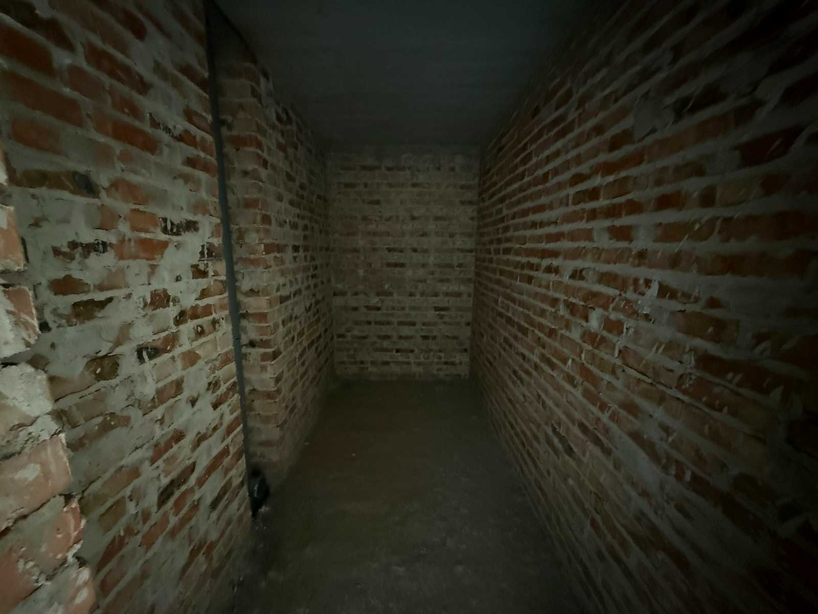 1835710687040556
