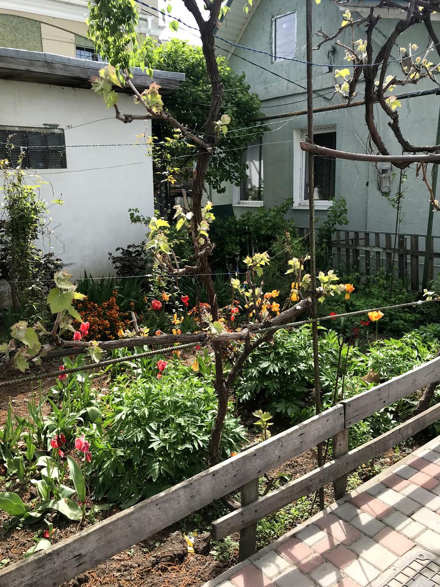 Дом по адресу ул. Куприна (площадь 174 м²) Дом по адресу ул. Куприна (площадь 174 м²) - Atlanta.ua