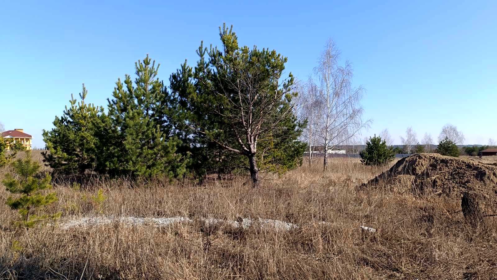 1793042629942045