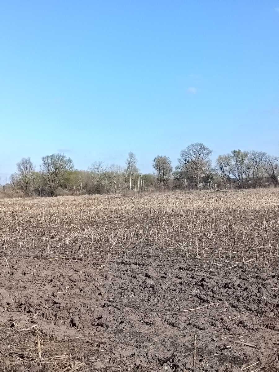 1827996865458375