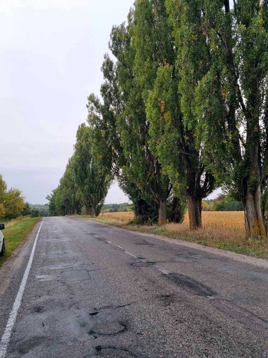1845873500289261