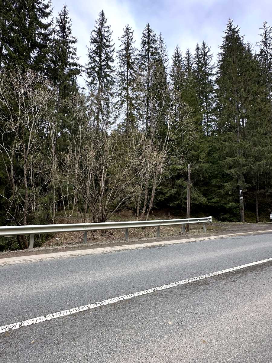 1845081016492994