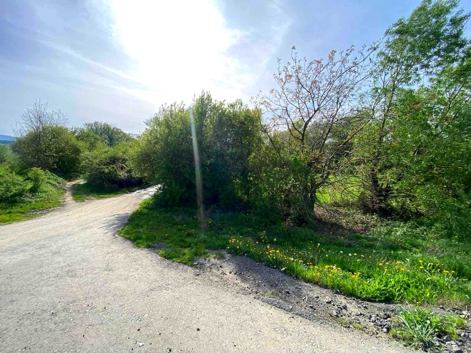 1813511903485022