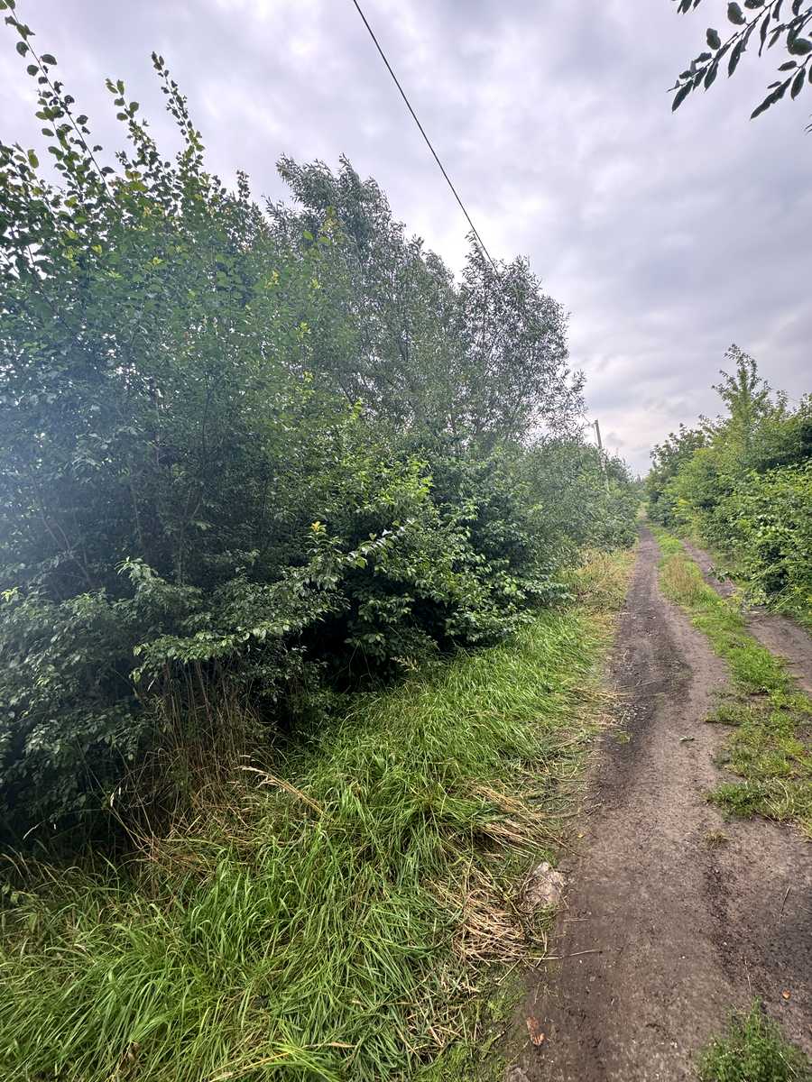 1846595389113217
