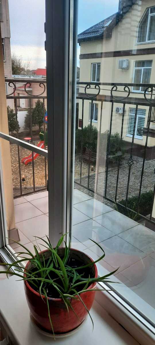 1829469716398364