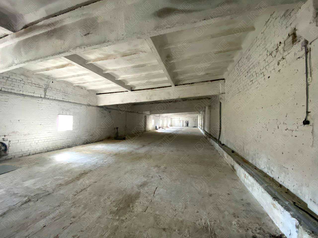 1748210161429266