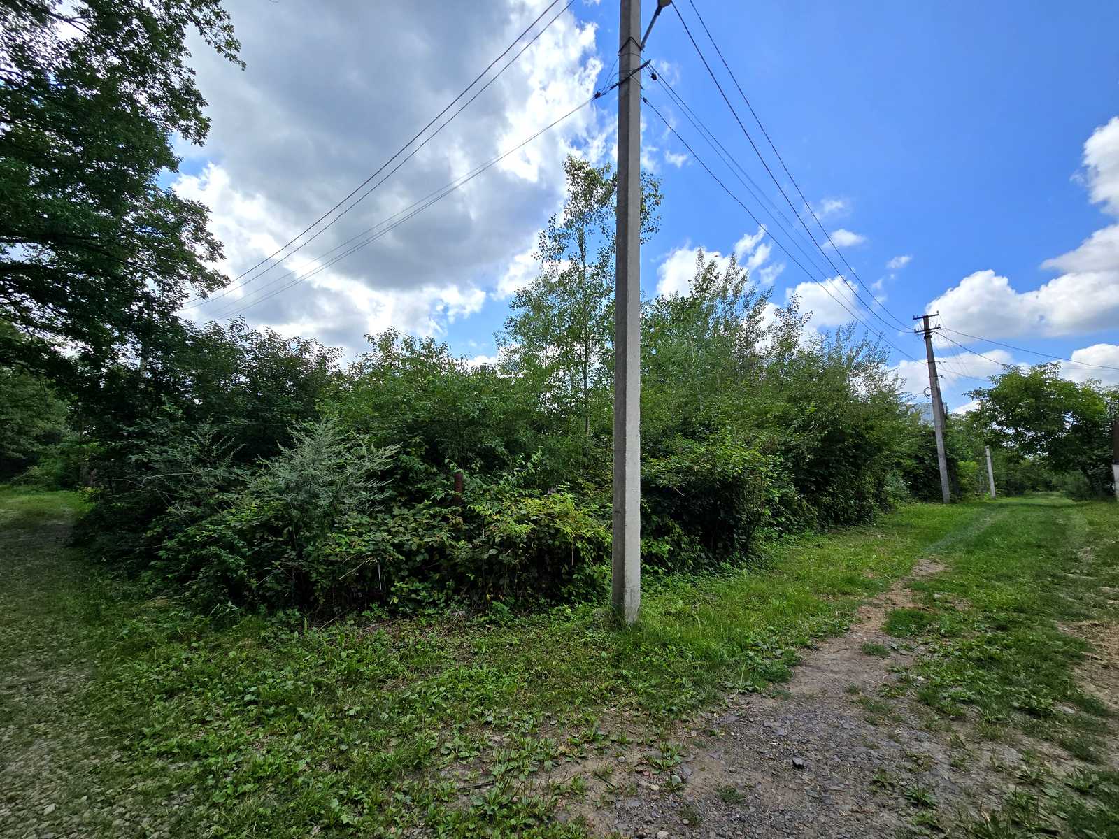 1839620824295226