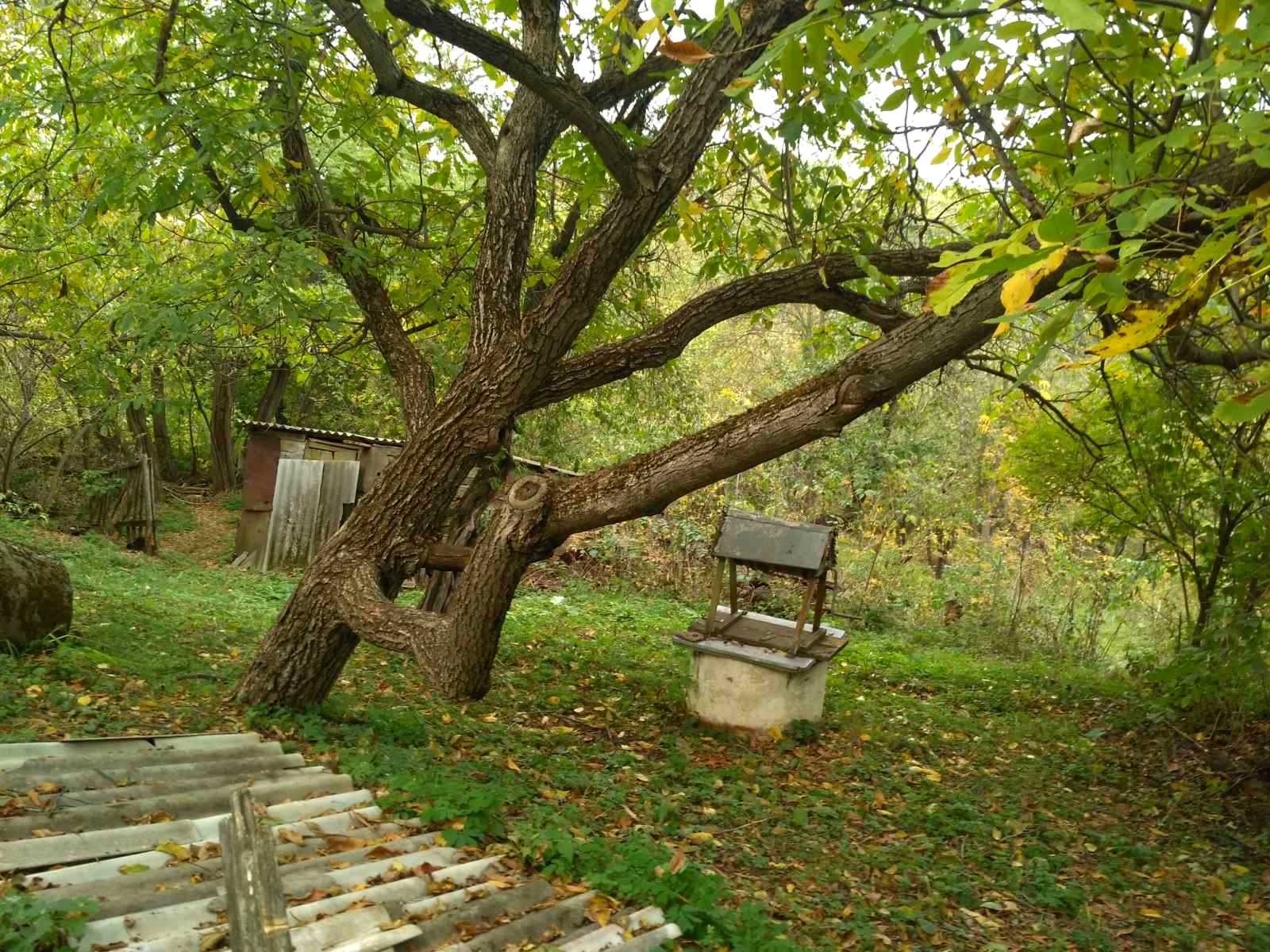 1745750822334831