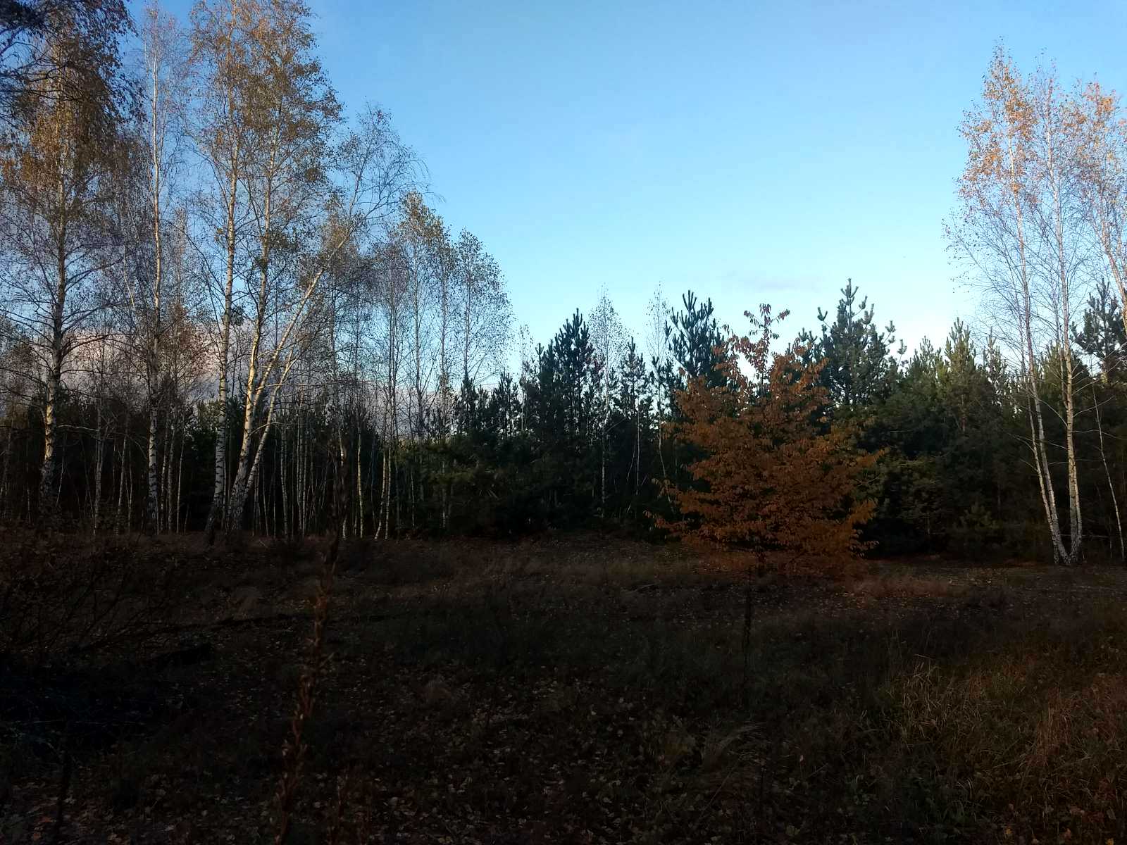 1784542354218793