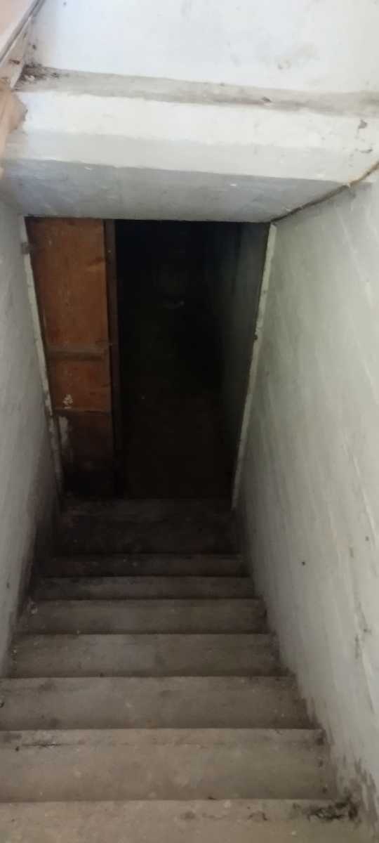1847595497528947